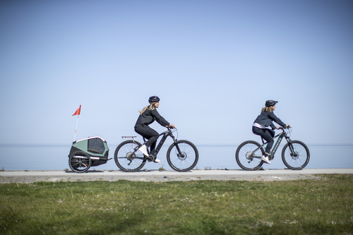 Przyczepka rowerowa dla psa - Thule Bexey M do 35 kg - Haze green