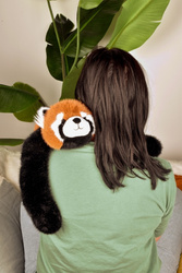 HISTOIRE D'OURS - obciążeniowa pluszowa panda ruda Podcoll, 50 cm, pomarańczowy