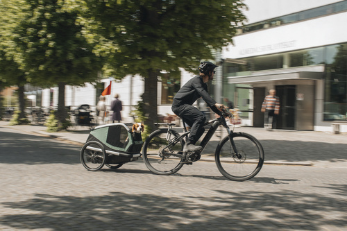 Przyczepka rowerowa dla psa - Thule Bexey M do 35 kg - Haze green