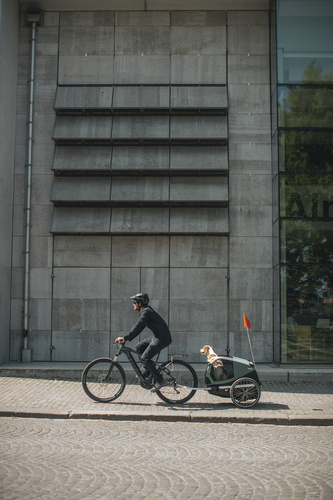 Przyczepka rowerowa dla psa - Thule Bexey M do 35 kg - Haze green
