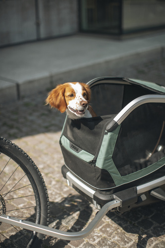 Przyczepka rowerowa dla psa - Thule Bexey M do 35 kg - Haze green